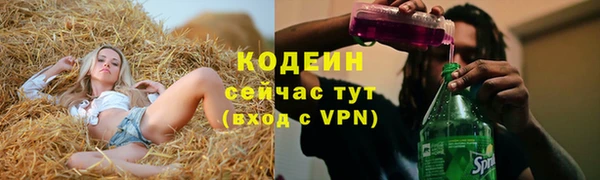 дурь Рославль