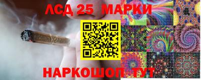 дмт Краснознаменск
