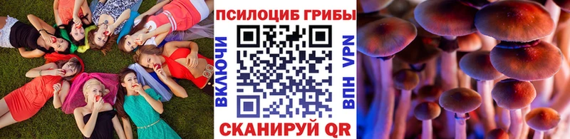 Псилоцибиновые грибы прущие грибы  Уварово 
