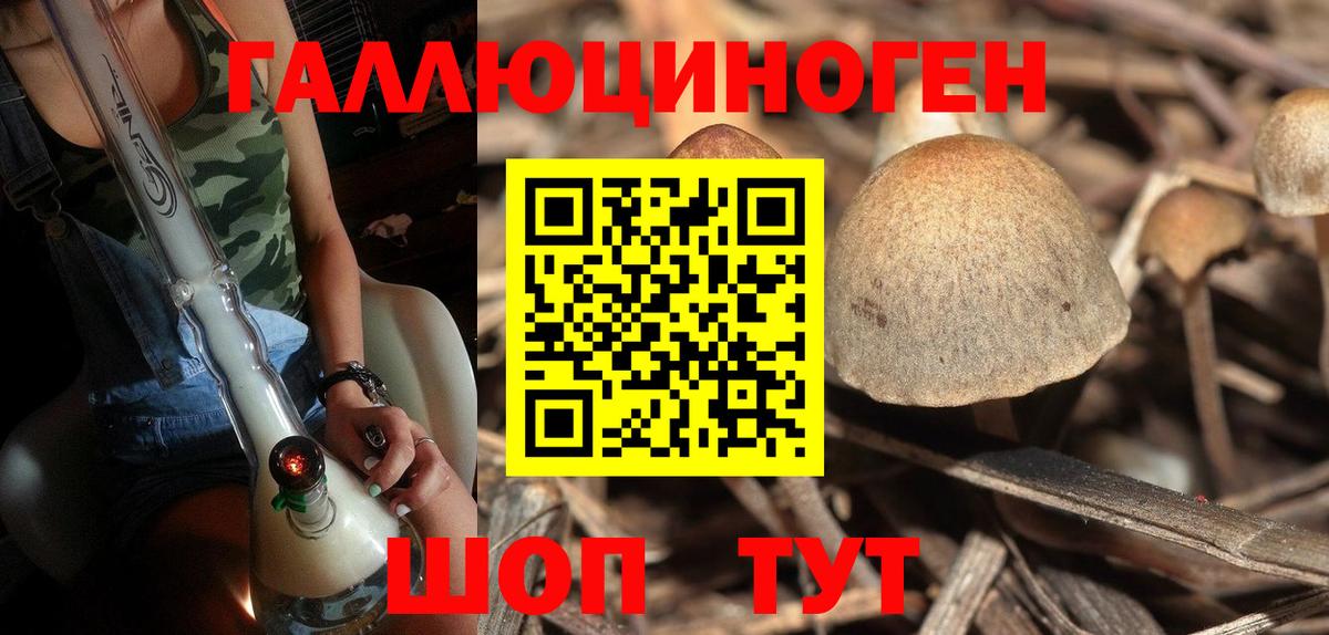 Псилоцибиновые грибы GOLDEN TEACHER  Вход с VPN  Уварово 